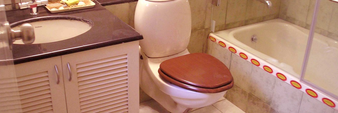 Metodi naturali per eliminare cattivi odore bagno ufficio Cattivo odore bagno