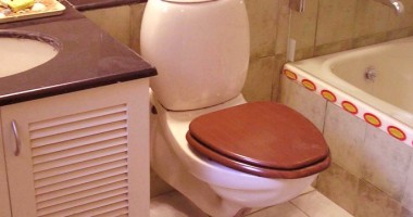 Prodotti ecobio per pulire WC