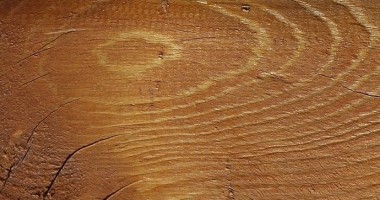 Come trattare legno gazebo da giardino